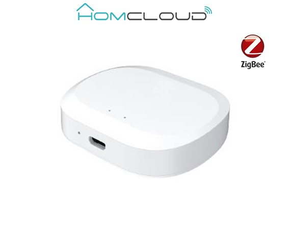 Centralina intelligente Hub Termovalvole - Zigbee+Bluetooth