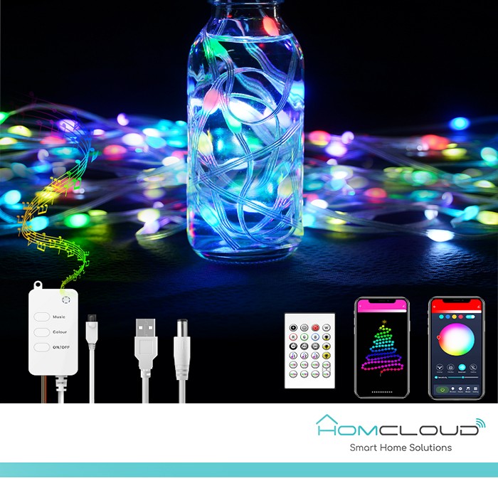 [HY-F10M] Corda in PVC di Luci Decorative Smart RGB-IC OUTDOOR Wi-Fi + Bluetooth 10M IP65